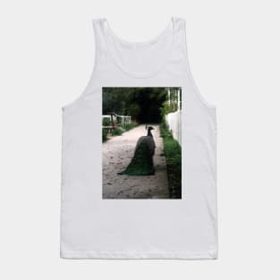 Peacock Path Tank Top